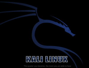 kali-linux-1-0-6-hands-on